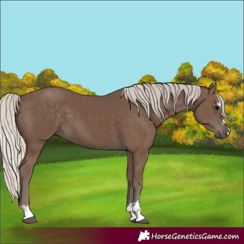Horse Color:Silver Black 