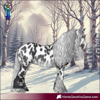Horse Color:Silver Brown Chinchilla Tobiano Leopard 