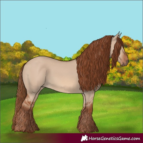 Horse Color:Red Dun 