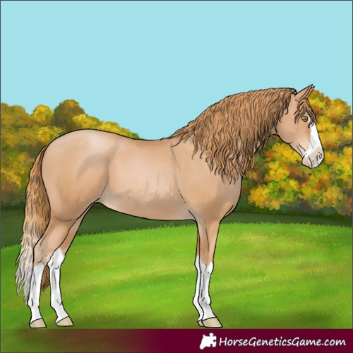 Horse Color:Chestnut Pearl Splash 