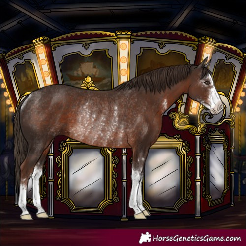 Horse Color:Liver Chestnut Sabino Rabicano 