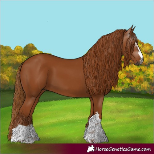 Horse Color:Gray Chestnut 