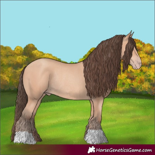Horse Color:Amber Champagne Rabicano