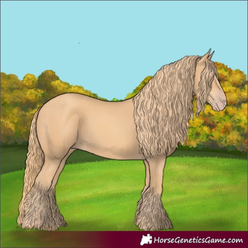 Horse Color:Gold Champagne Rabicano