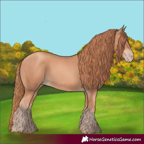 Horse Color:Gold Champagne Rabicano
