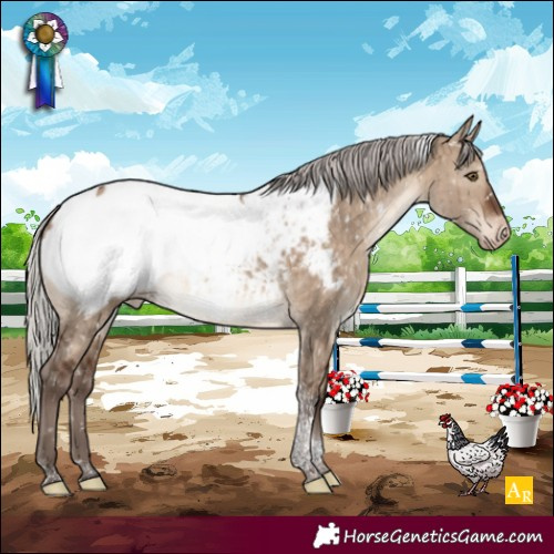 Horse Color:Silver Brown Dun Tobiano Appaloosa Brindle