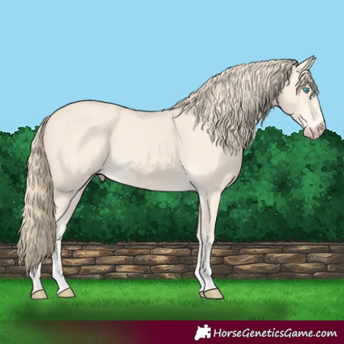 Horse Color:Perlino