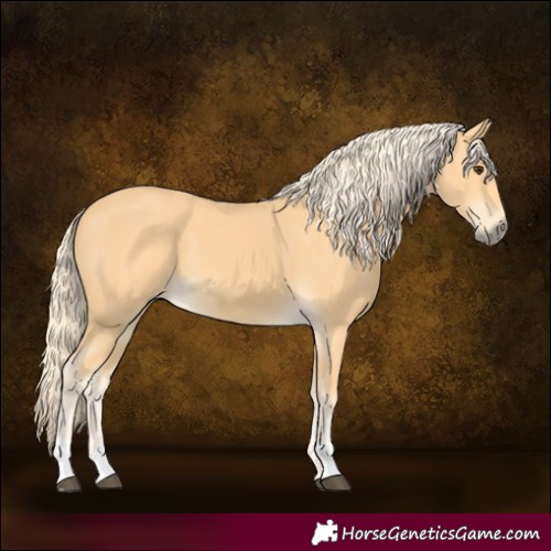 Horse Color:Palomino
