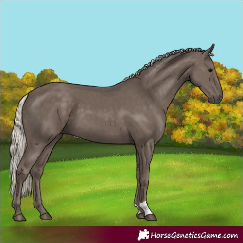 Horse Color:Silver Black 