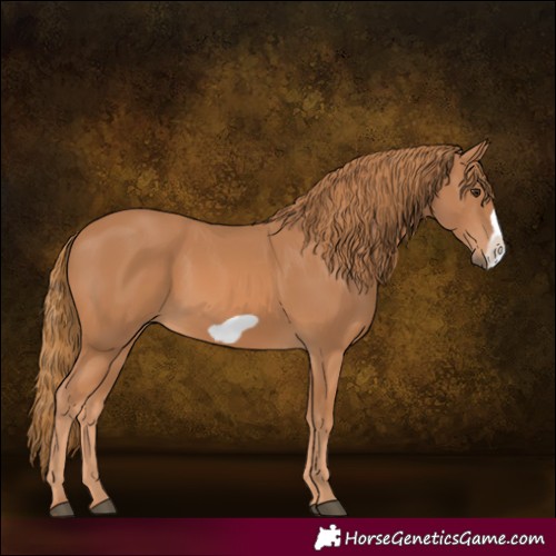 Horse Color:Chestnut Frame