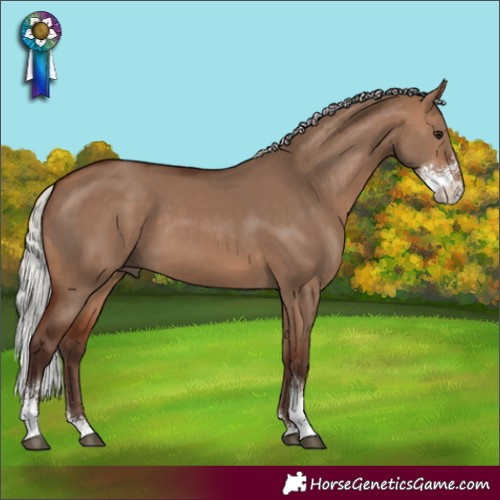 Horse Color:Silver Bay Dun Sabino