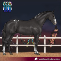 Horse Color:Smoky Black Sabino Tobiano Varnish 