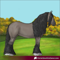 Horse Color:Grullo