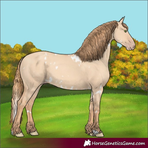 Horse Color:White Spotted Gold Champagne Dun