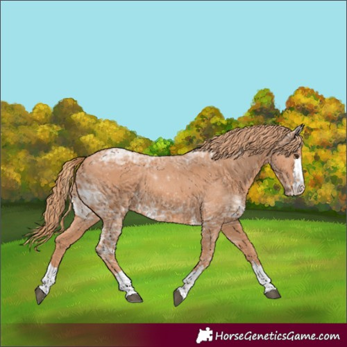 Horse Color:Chestnut Ice 