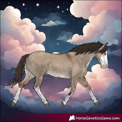 Horse Color:White Spotted Liver Red Dun 
