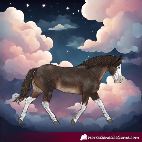 Horse Color:White Spotted Liver Chestnut Splash 