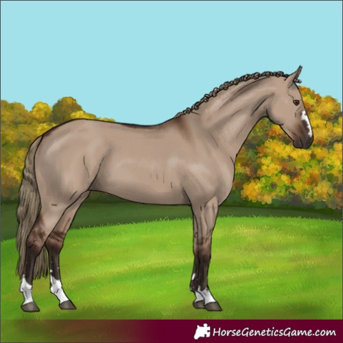 Horse Color:Liver Red Dun 