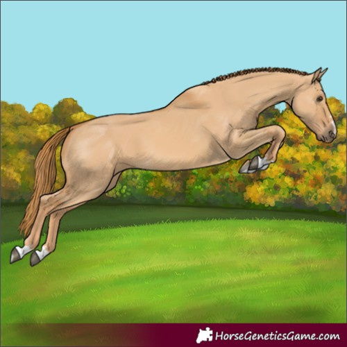Horse Color:Red Dun