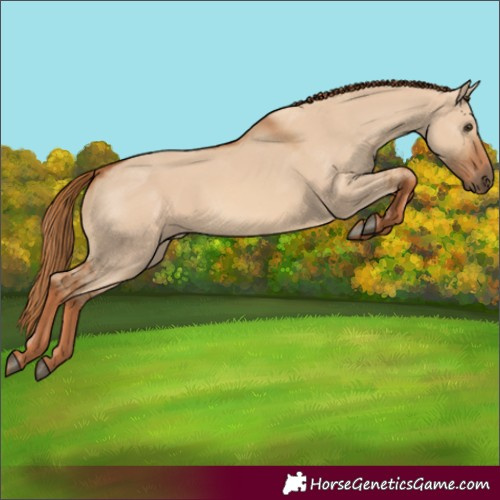 Horse Color:Red Dun