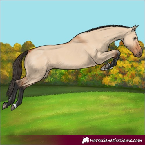 Horse Color:Bay Dun