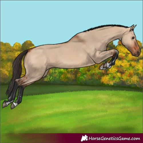 Horse Color:Bay Dun