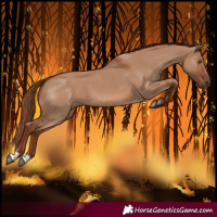 Horse Color:Red Dun
