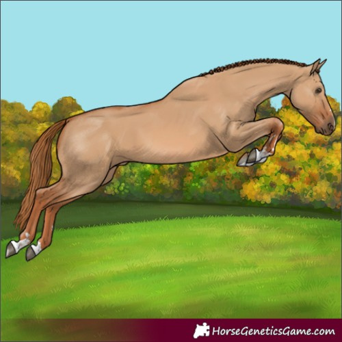 Horse Color:Red Dun