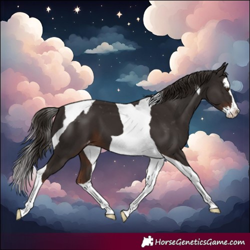 Horse Color:Liver Chestnut Splash Tobiano Varnish 