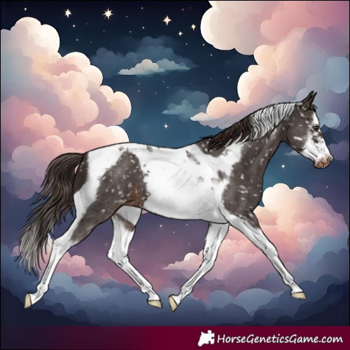 Horse Color:Liver Chestnut Sabino Splash Tobiano Frame Snowflake Varnish