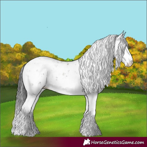 Horse Color:Grullo Sabino 