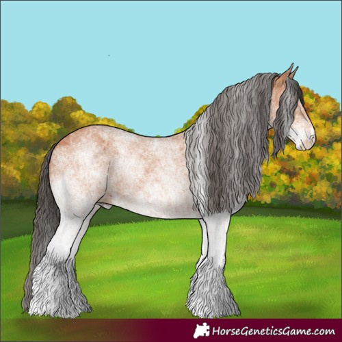 Horse Color:White Spotted Bay