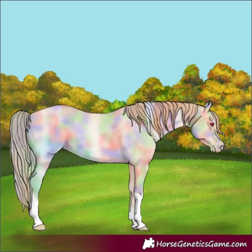 Horse Color:Nacre Buckskin Pearl Dun Tobiano 