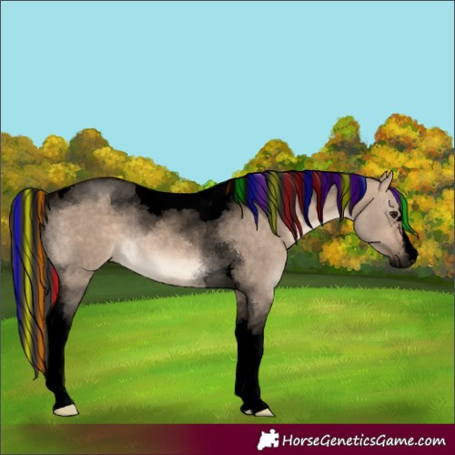 Horse Color:Void Painted Bay Dun Tobiano 