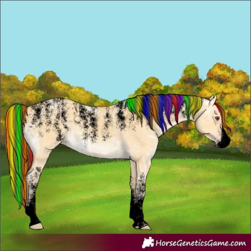 Horse Color:Powder White Void Painted Amber Cream Champagne Ice Dun