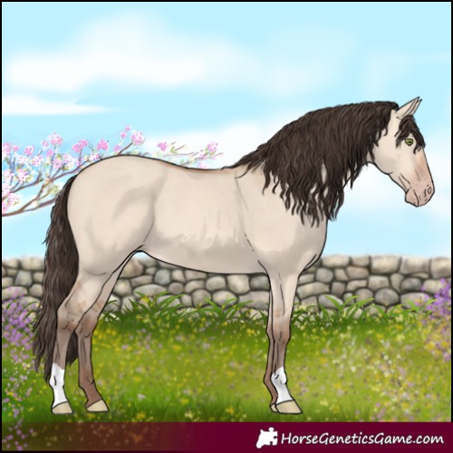 Horse Color:Amber Champagne Dun 