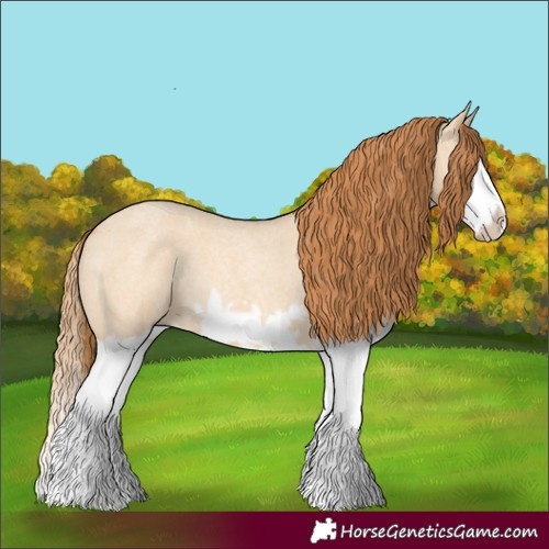 Horse Color:Red Dun Roan Splash Frame Rabicano