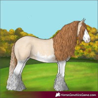 Horse Color:Red Dun Roan Splash Frame Rabicano 