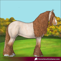 Horse Color:Red Dun Roan Splash 