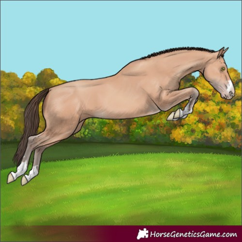 Horse Color:Amber Champagne
