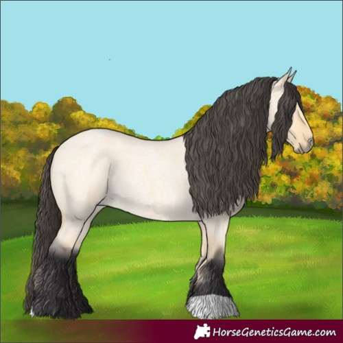 Horse Color:Buckskin Roan Dun
