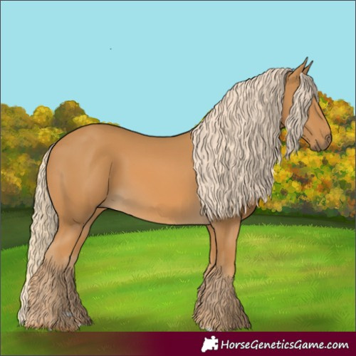 Horse Color:Palomino 