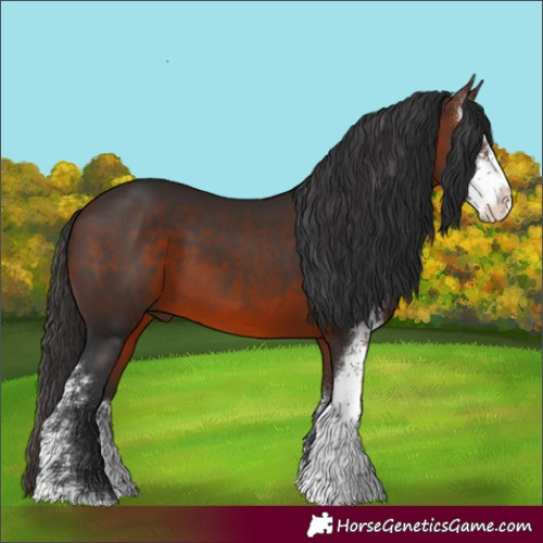 Horse Color:Brown Sabino Rabicano