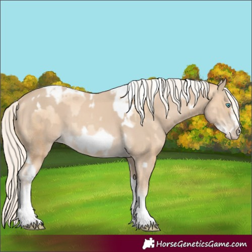 Horse Color:Gold Cream Champagne Pearl Tobiano Frame  and Cremello Tobiano Frame 