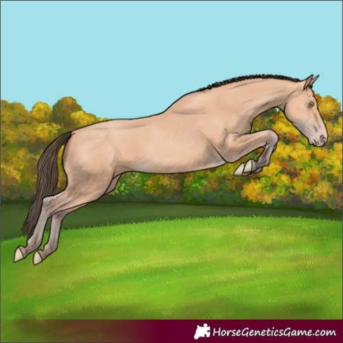 Horse Color:Amber Champagne 