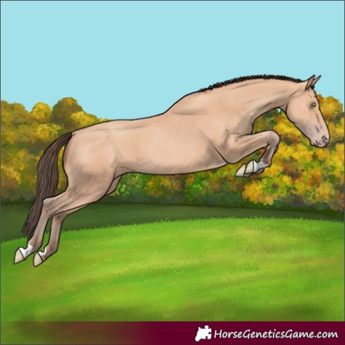 Horse Color:Amber Champagne