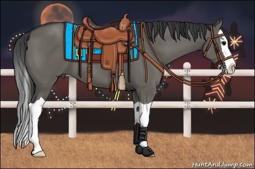 Horse Color:Grullo Splash 