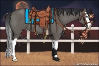 Horse Color:Grullo Splash 