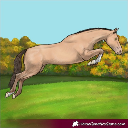 Horse Color:Amber Champagne
