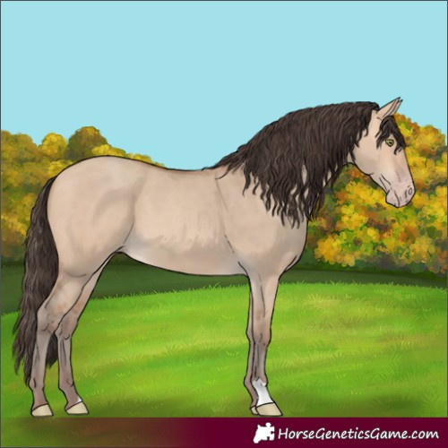 Horse Color:Amber Champagne Dun 